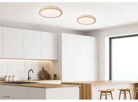 LED осветително тяло за таван в естествен цвят ø 48 cm Gandava - Candellux Lighting