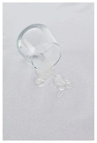 Водоустойчиви протектори за възглавници в комплект от 2 бр. 70x50 cm Terry – Mila Home