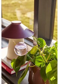 Зелена и розова стъклена сфера за поливане Flora - Hübsch