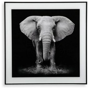 Картина Elephant (2 x 50 x 50 cm)