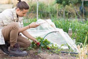 Малък градински политунел 6 x 0,5 м