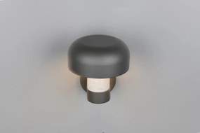 Стенно външно осветително тяло (височина 24,5 cm) Fraser – Trio