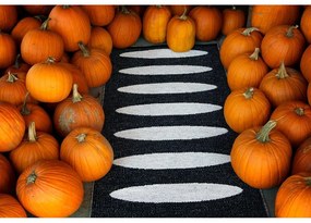 Черна пътека за открито и закрито 70x300 cm Ella Black – Pappelina