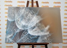Картина на платно – Макро глухарче на фон