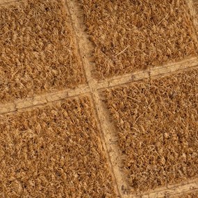 Изтривалка от кокосови влакна 25x75 cm Trazos – Casa Selección