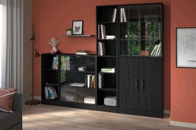 Библиотечка Mayer-Black