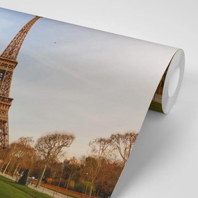 Фототапет – Известната Айфелова кула