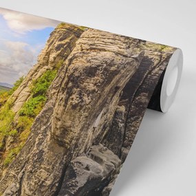 Фототапет – Изглед към река Елба
