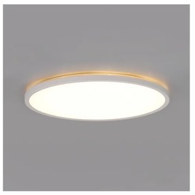 LED баня таванно осветително тяло NIVERA LED/24W/230V IP54 Ø30 см бяло
