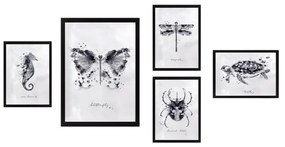 Картини в комплект от 5 бр. Butterfly - Wallity