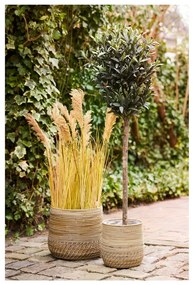 Ратанови кошници в комплект 2 бр. ø 39x35 cm Moro – House Nordic