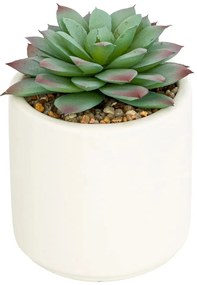 Изкуствено растение atmosphera Nils, 12 cm, Различни видове
