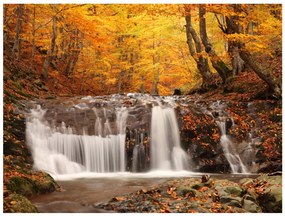 тапет - Есенен пейзаж: водопад в гората 400x309