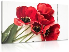 Картина на платно – Разцъфнали червени лалета