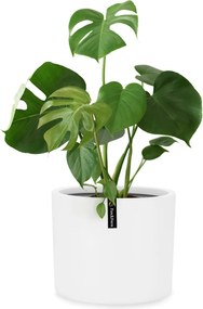 Blumfeldt Gendt, саксия, фибърстоун, интериор/екстериор