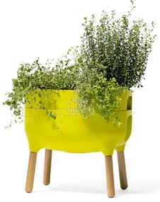 Пластмасов самонапояващ се съд за отглеждане на растения Urbalive – Plastia