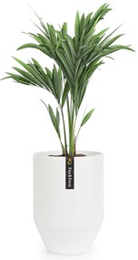 Fox & Fern Саксия Almere Fibre Stone, идеална за растения, ръчно изработена, конусовидна