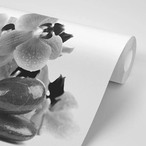 Фототапет – Черно-бели камъни и орхидея