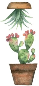 Декоративни стикери за стъкло Cactus S