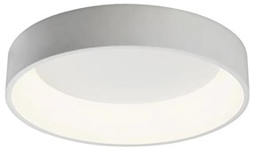 Rabalux 2508 - LED Лампа за таван ADELINE LED/36W