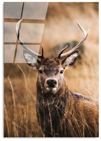 Живопис върху стъкло 70x100 cm Deer - Wallity