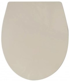 Тоалетна седалка ICST 910BG