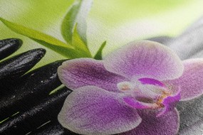 Картина на платно – Тропическа Зен композиция
