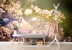 Самозалепващ фототапет – Натюрморт с цветя
