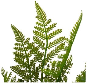 Изкуствен папрат (височина 45 cm) – Casa Selección