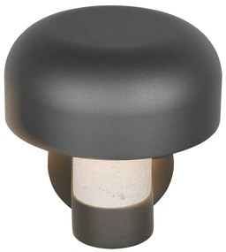 Стенно външно осветително тяло (височина 24,5 cm) Fraser – Trio