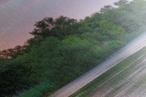 Картина на платно – Изгрев на река
