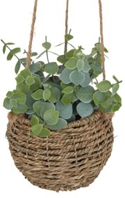 Изкуствено растение atmosphera Zoе, 17 cm, Различни видове