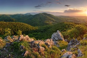 Фототапет – Природа окъпана в слънце