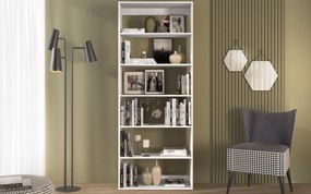 Секция Клио