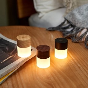 Светлинна декорация с USB в естествен цвят ø 4,5 cm Lemelia – Gingko