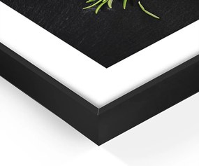 Картина 50x70 cm Rosemary – Styler