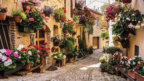Flower alley - C0412