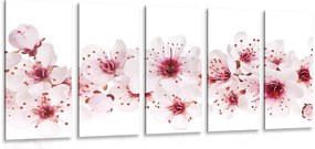 картини от 5 части – Черешови цветове
