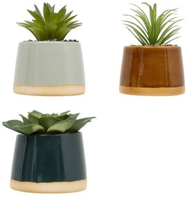 Изкуствено растение atmosphera Be Vintage, 12 cm, Различни видове