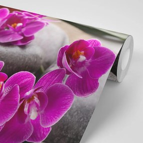 Фототапет – Прекрасна орхидея и зен камъни