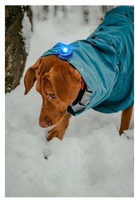 LED светлина за яка Blue - Orbiloc