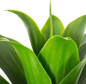 Изкуствено растение atmosphera Aloe Vera, 34 cm