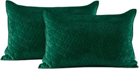 Калъфки за възглавници в комплект от 2 броя 50x70 cm Laila - AmeliaHome