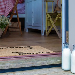 Изтривалка от кокосови влакна 40x60 cm Arrivals and Departures – Artsy Doormats