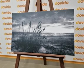 Картина на платно – Залез на плажа в черно-бяло изпълнение