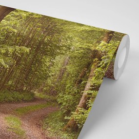 Фототапет – Зелена гора