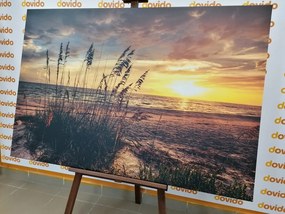 Картина на платно – Залез на плажа