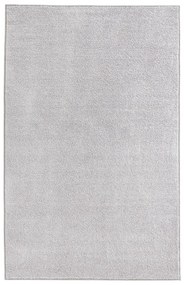 Светлосив килим , 140 x 200 cm Pure - Hanse Home