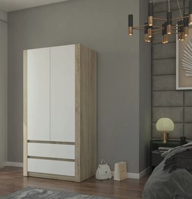 Модерен гардероб с две врати MODERN B20 180 x 90 x 55 cm - различни цветови варианти Бял