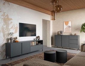 Холна секция Anel